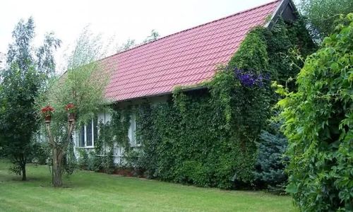 Domek całoroczny. Pasym