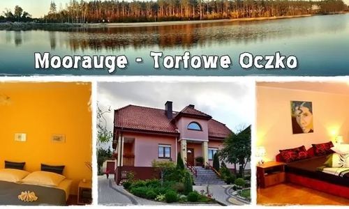 Moorauge - Torfowe Oczko. Morawica