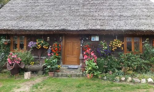 Chata pod strzechą Zalesie Królewskie Bory Tucholskie