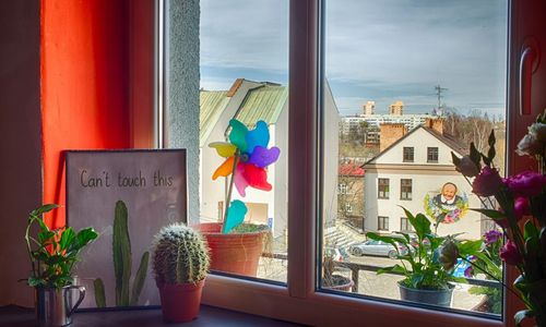 3 Bros Hostel Cieszyn