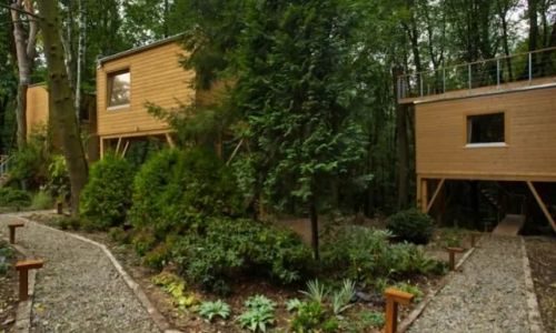 Apartamenty W DRZEWACH Nałęczów