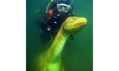 Domki Wypoczynkowe Płotki LUX Piła