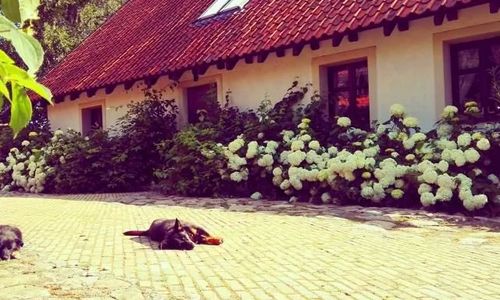 Siedlisko Błominko Rzeck