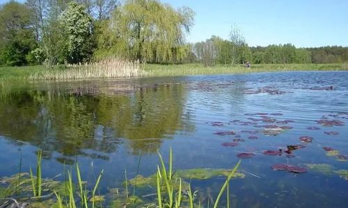 TARTAK Gospodarstwo Agroturystyczne w Brudnowie Dalików