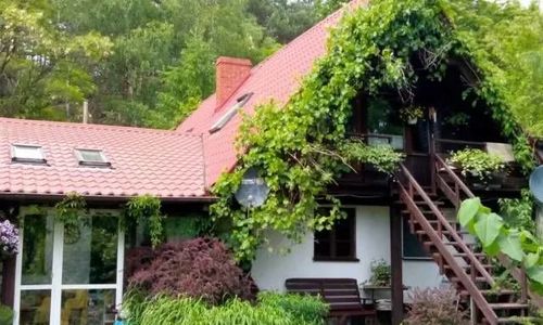 U Wierzby Pod Lasem Nowy Tomyśl