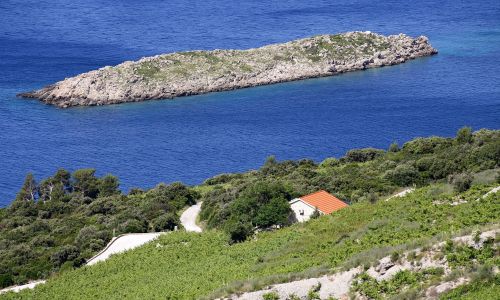Nyaralóház Parkolóhellyel Dingac - Pristranj, Peljesac - 660 Dingač - Pristranj