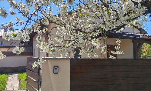 Vintage Apartman Mezőkövesd