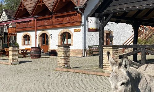 Ulbert Pince Panzió Szederkény