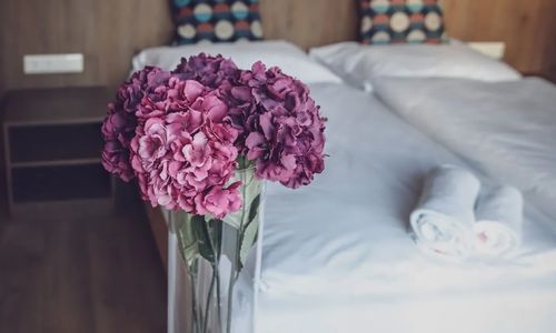 Dreko Panzió és Borbisztró Győrújbarát