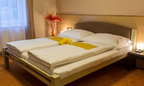 Hotel Lužnice Planá nad Lužnicí