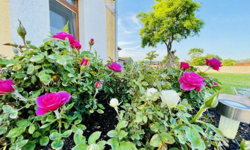 Ámor Akác Vendégház Poroszló