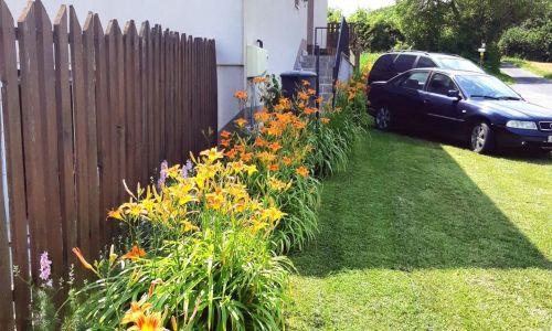 Liliom Apartman Rezi