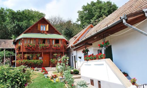 Pensiunea cu Mușcate Rimetea