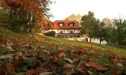 Penzion Dvůr Netolice