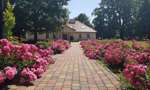 Dworek Różany Puzzel Chmielów