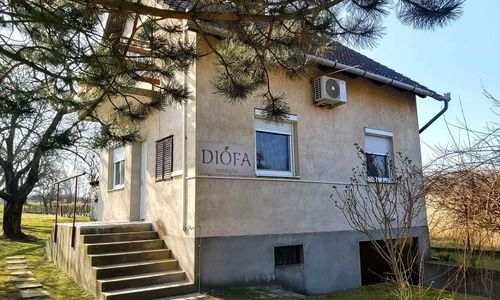 Diófa Vendégház Daruszentmiklós