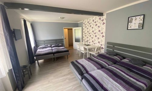 Penzion Kamejk Kamýk nad Vltavou