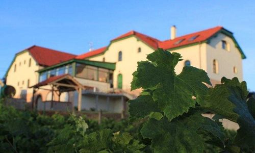 Hotel Vinohrad Milotice