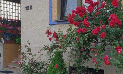 Vila Imagina Ratboř