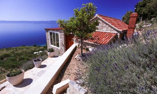 Robinson House Orpheus Bol