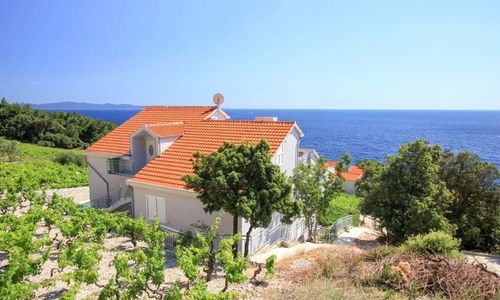 Apartments Marketa Dingač Trstenik