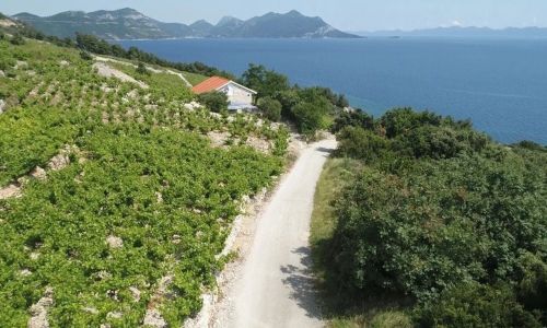 Robinson House Dingač Trstenik