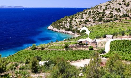 Robinson Villa Afrodita Zagradac