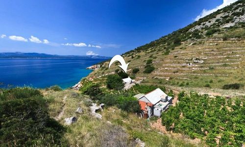 Robinson House Capitano Bol