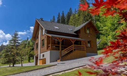 Casa de oaspeți Paltán Borzont