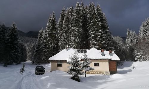 Cabana Pietricica Dâmbovicioara