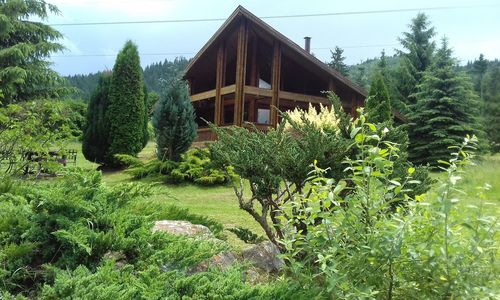 Little House Gheorgheni