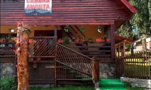 Cabana Ancuța Vârtop