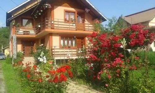 Pensiunea Nopți de Vara Căpățânenii Pământeni