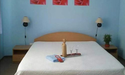 Pensiunea Coca Băile Felix