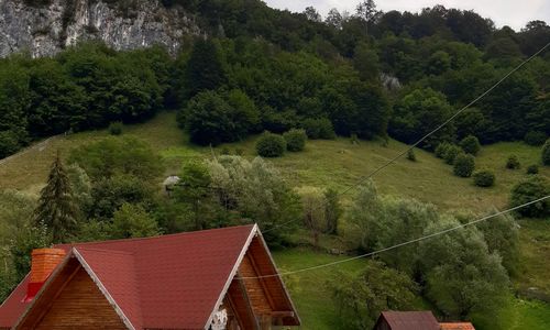 Casa Sara Dâmbovicioara