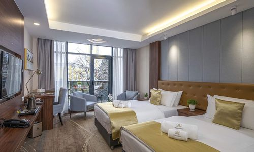 Willis Hotel Business & Wellness Zalaegerszeg