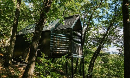 Fekete Rigó Noszvaj