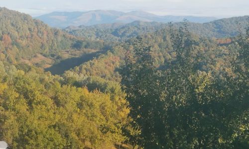 Cabanuta Fara Fite Drăgăneasa