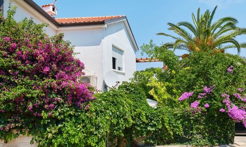 Apartmani Antares Mali Lošinj