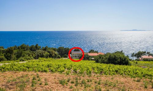 Családi Apartmanok A Tenger Mellett Dingac - Borak, Peljesac - 18060 Dingač - Borak