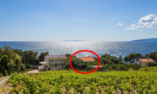 Családi Apartmanok A Tenger Mellett Dingac - Borak, Peljesac - 18065 Dingač - Borak