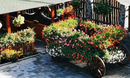 Casa de vacanță Sepsi Relax Sfântu Gheorghe