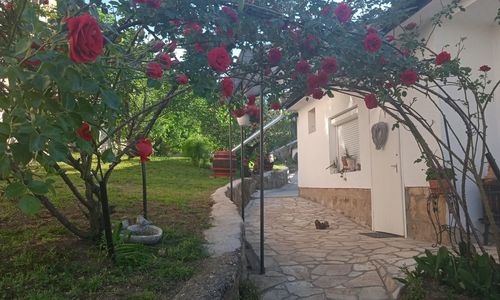 Rózsamorzsa Vendégház Szerencs