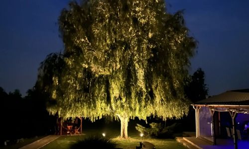 Battonya House Battonya