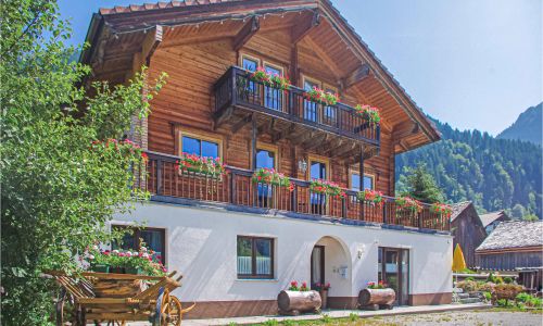 Apartman Sankt Gallenkirch - AVO065