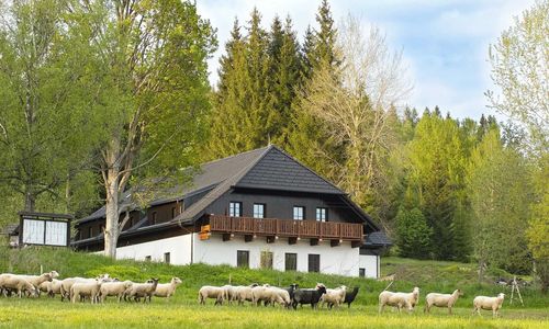 Dvůr Lískový vrch Strážný