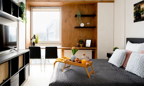 Easy Rent Apartament SMART 317 Lublin