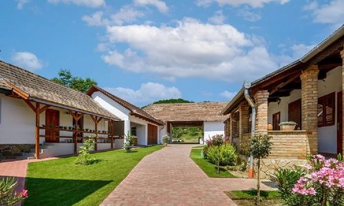 Pipacs és Tulipán Vendégház Bodony