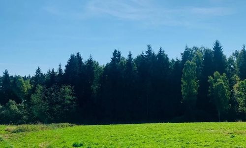 Cabana Karina Dealu Negru