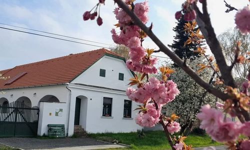 Fűszeres Porta Mihályfa